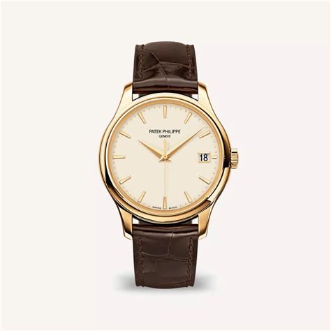 patek philippe brown watch|Patek Philippe cheapest watch price.